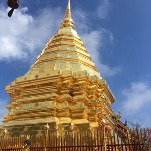 Meet your Posher, Tanya